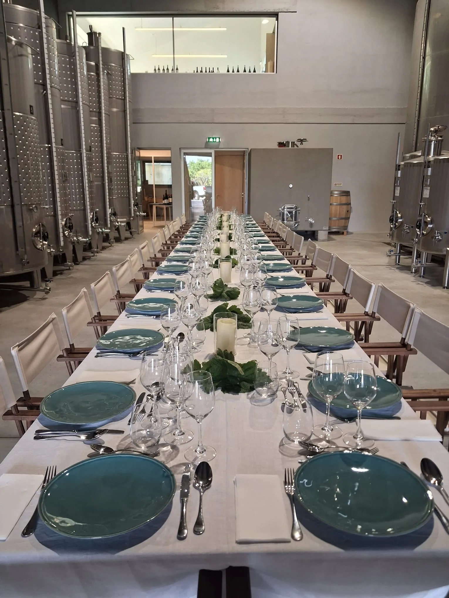 Prova de vinhos na adega